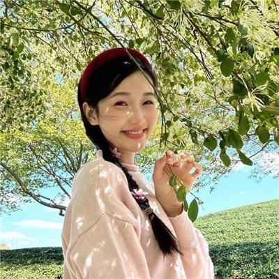 秘密同盟